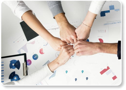 braya-detailModul-Organisasi